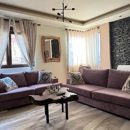 Zajo Apartamet Rruga 1maji